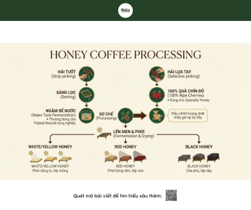 giai-ma-vi-ngot-cua-so-che-ban-uot-ma-dan-sanh-sai