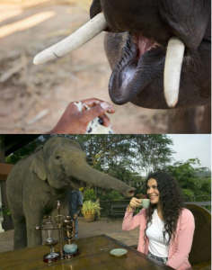 ca-phe-voi-tinh-hoa-nghin-do-ca-the-gioi-san-lung