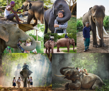 mahout-va-ca-phe-voi