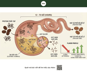 ca-phe-voi-tinh-hoa-nghin-do-ca-the-gioi-san-lung