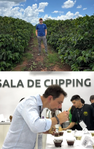 Cách để đạt giải thưởng rang cà phê: Bí quyết của những quán quân