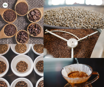 dich-vu-gia-cong-ca-phe