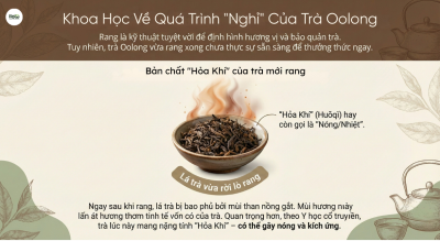 quy-trinh-nghi-cua-tra-oolong-resting-period-oolong