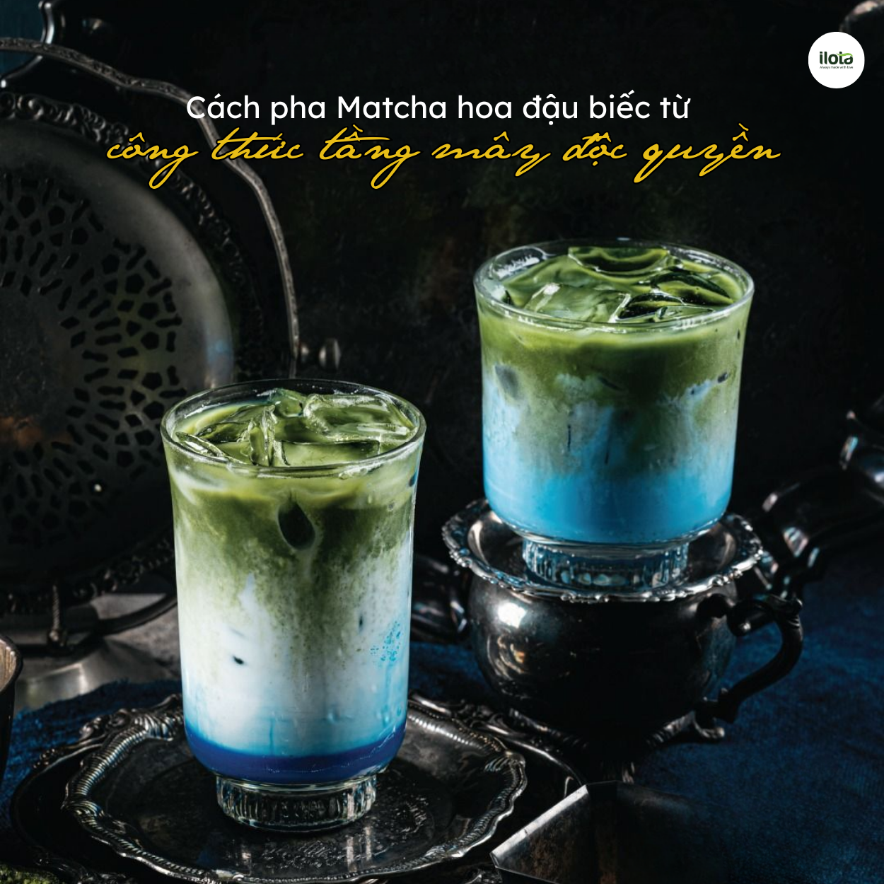 cach-pha-matcha-hoa-dau-biec-tang-may-doc-quyen