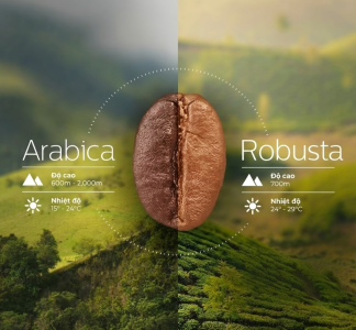 3-cong-thuc-ca-phe-blend-cho-chu-quan