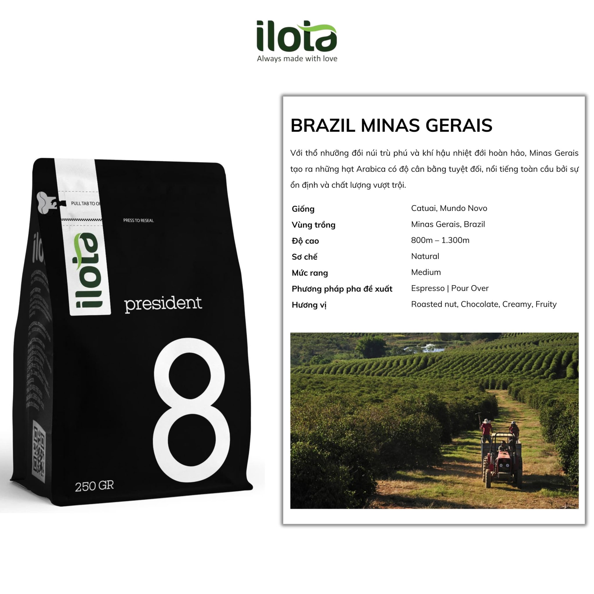 arabica-brazil-minas-gerais