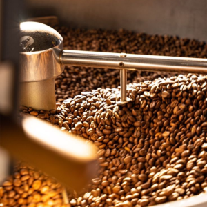 vo-lua-va-ranh-giua-center-cut