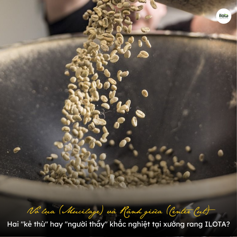 vo-lua-va-ranh-giua-center-cut