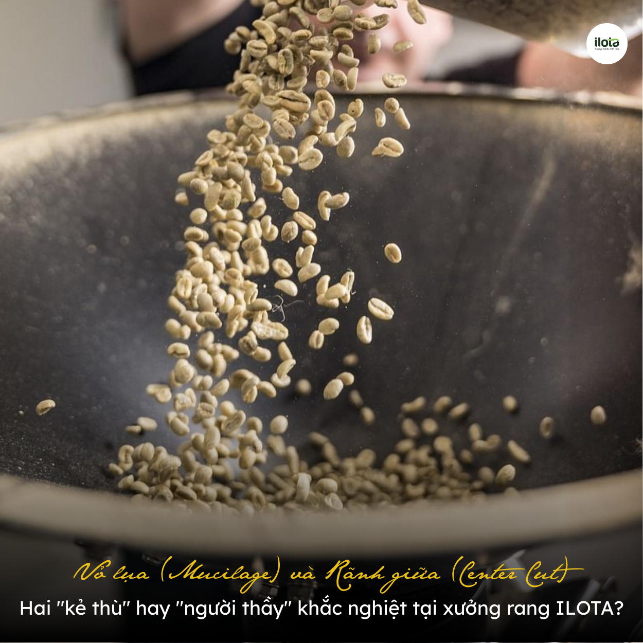 vo-lua-va-ranh-giua-center-cut