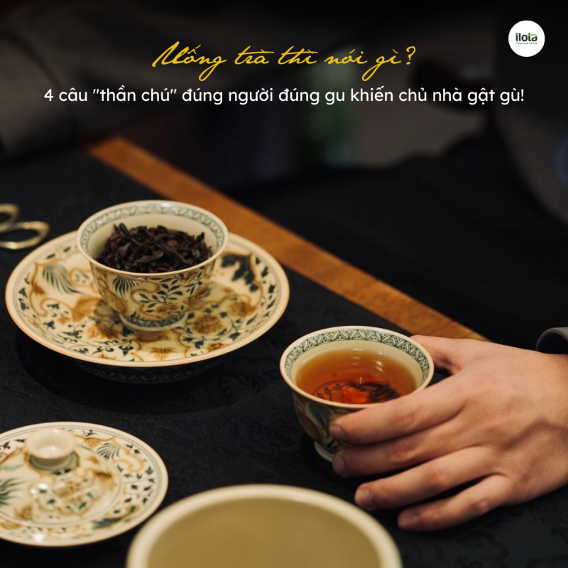 uong-tra-noi-gi-4-cau-than-chu-dung-nguoi-dung-gu