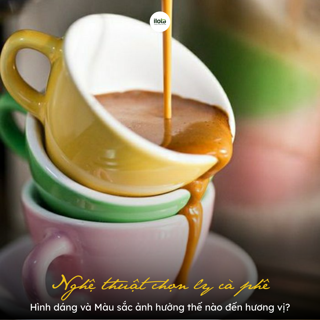 chon-ly-ca-phe-hinh-dang-mau-sac-anh-huong-the-nao