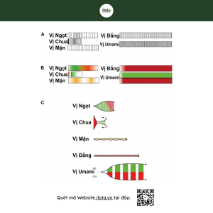 chon-nhac-cho-quan-ca-phe-neurogastronomy-vi-giac
