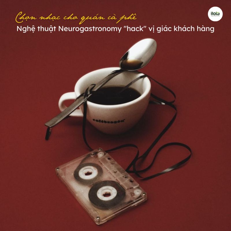 tieng-on-nen-chon-nhac-cho-quan-ca-phe
