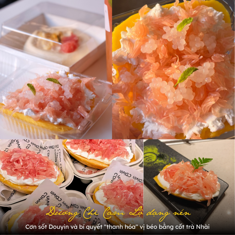 duong-chi-cam-lo-dang-nen