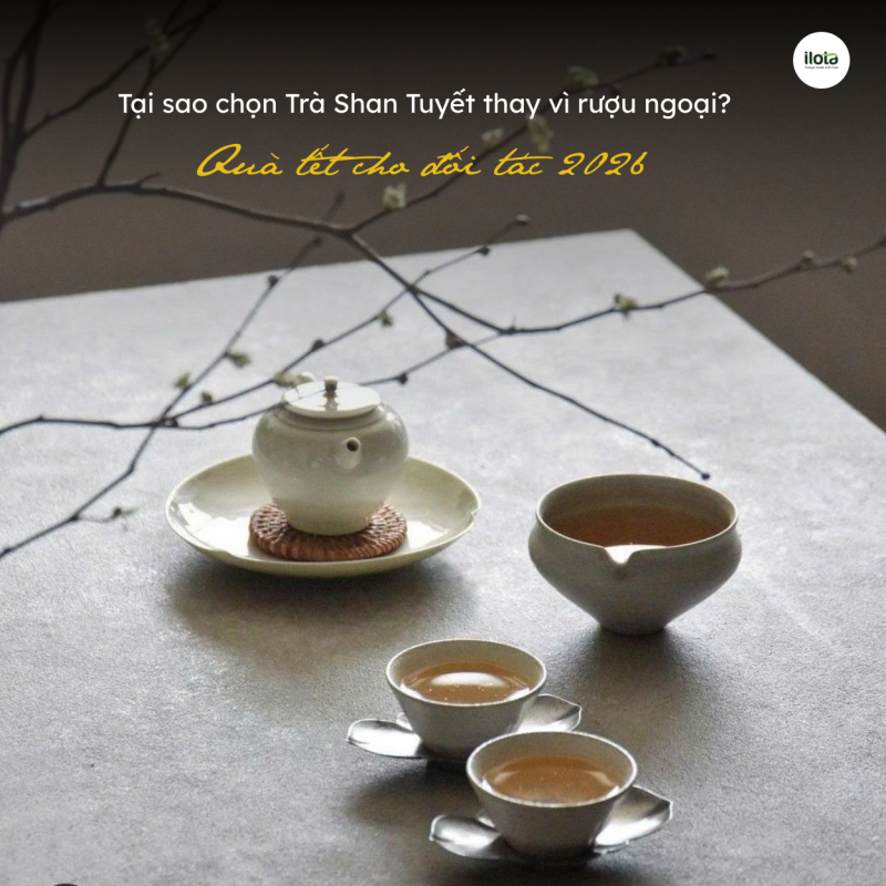 set-qua-tet-cho-doi-tac-2026