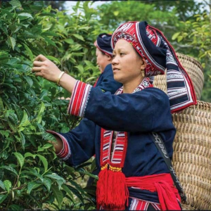 hai-tra-qua-tet-cho-doi-tac-2026