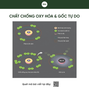 uong-gi-thai-doc-phoi-matcha-la-chan-xanh