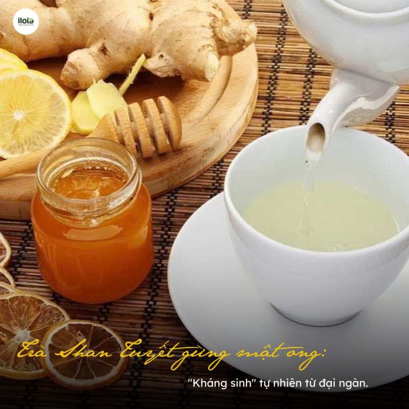 coc-tra-shan-tuyet-gung-mat-ong