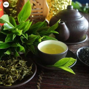 coc-tra-shan-tuyet-gung-mat-ong