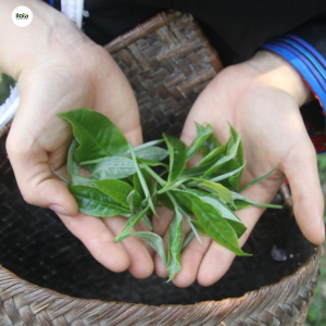 la-tra-shan-tuyet-gung-mat-