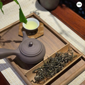 tach-tra-phan-biet-tra-shan-tuyet