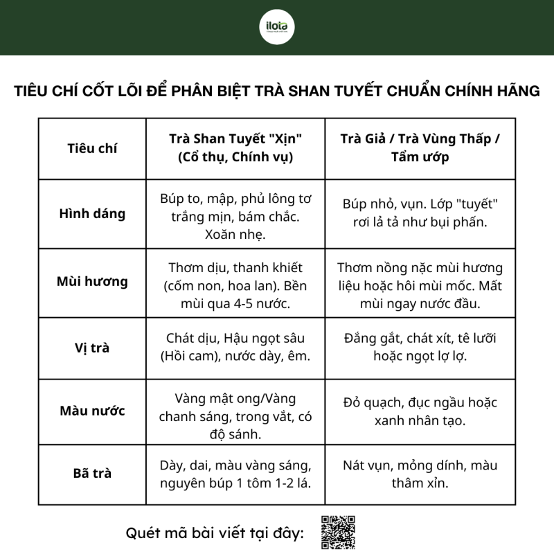 bang-phan-biet-tra-shan-tuyet