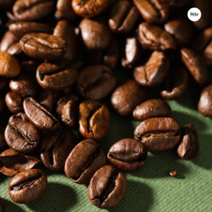 hat-ca-phe-nguon-si-cho-ca-phe-cho-quan