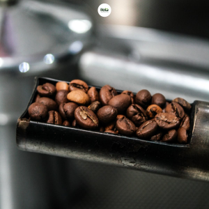 nguon-si-ca-phe-cho-quan-khay-ca-phe