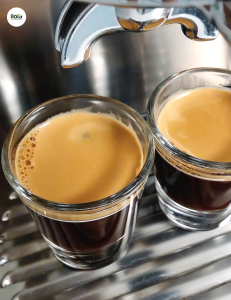 coc-phan-biet-ca-phe-tuoi