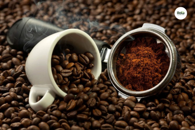 coc-phan-biet-ca-phe-tuoi