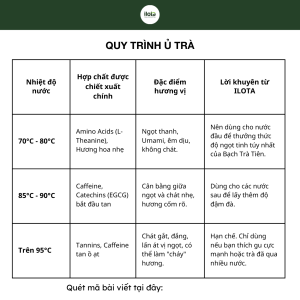 bach-tra-tuyet-la-gi-la-gi-bang