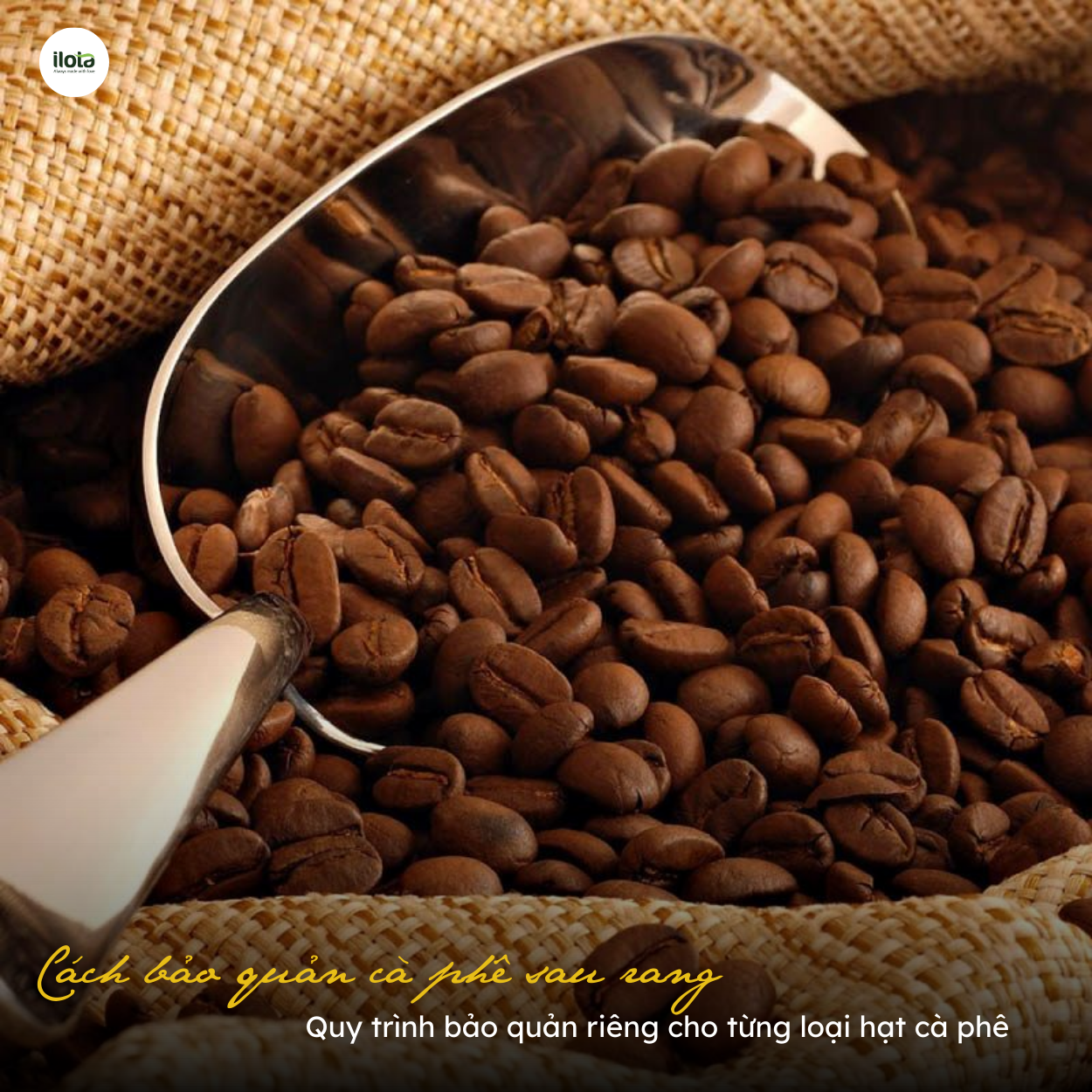 cach-bao-quan-ca-phe-sau-rang-hat