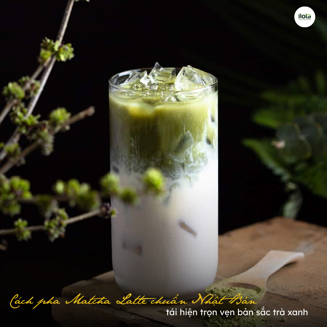 cach-pha-matcha-latte-coc