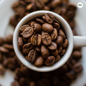 cach-chinh-co-xay-cho-tung-phuong-phap-pha-hat-ca-phe