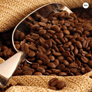 cach-chinh-co-xay-cho-tung-phuong-phap-pha-hat-ca-phe