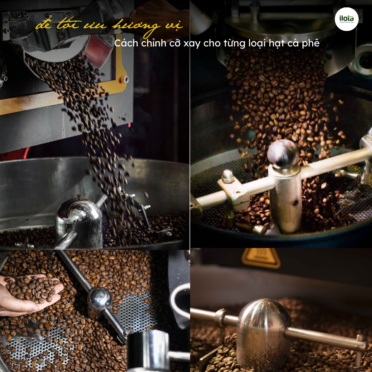 cach-chinh-co-xay-cho-tung-phuong-phap-pha-hat-ca-phe