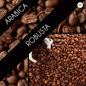 so-sanh-robusta-voi-arabica-hat-ca-phe-so-sanh