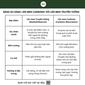 len-men-Carbonic-hat-ca-phe-bang