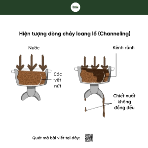 cach-chon-may-xay-ca-phe-cho-quan-may-xay