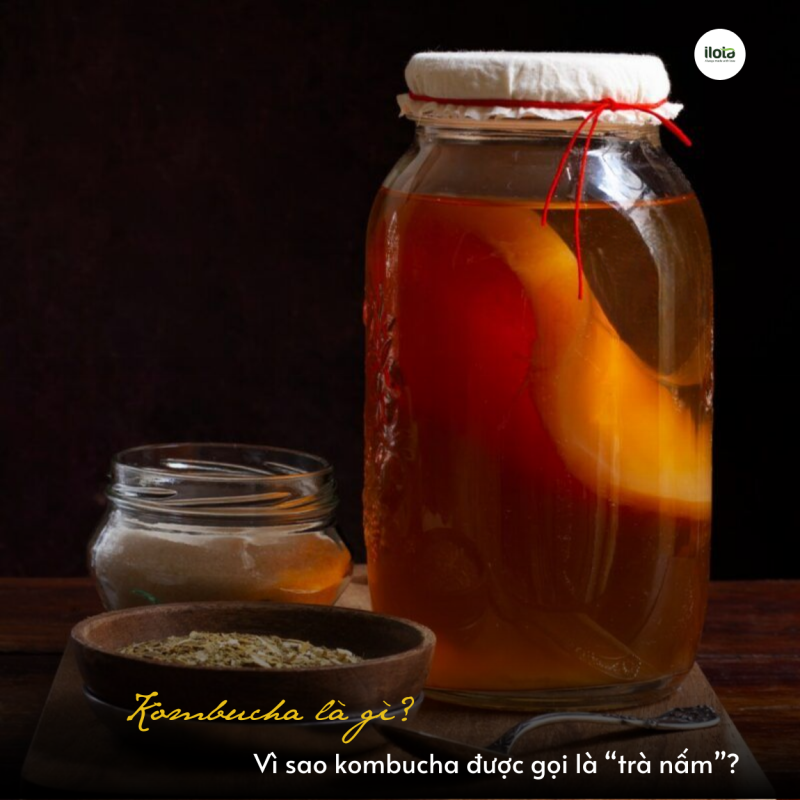 kombucha-la-gi