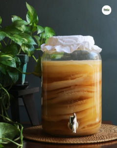 kombucha-la-gi-binh