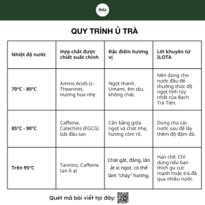 bach-tra-tuyet-la-gi-la-gi-bang