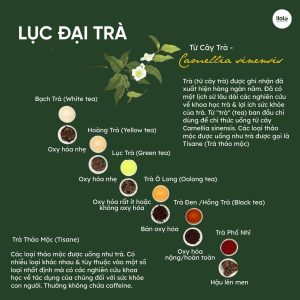 phan-biet-hong-tra-va-luc-tra