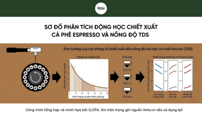 may-pha-ca-phe-ai-cach-mang-hoa-ly-ca-phe