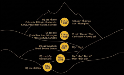 do-cao-cay-ca-phe-co-phai-la-tat-ca