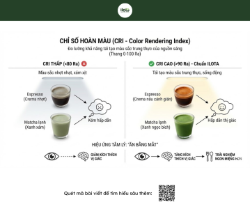thiet-ke-quan-ca-phe-san-thuong-bang-khoa-hoc
