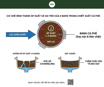 ap-suat-pha-espresso-chuan-pha