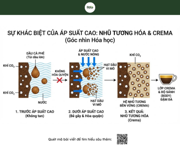 ap-suat-pha-espresso-chuan-pha-bang