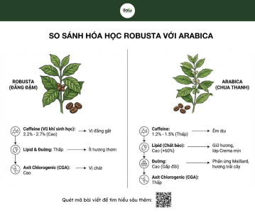 so-sanh-robusta-voi-arabica-hat-ca-phe-so-sanh