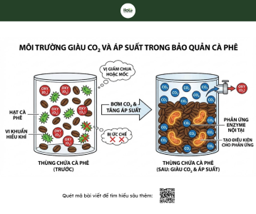 len-men-Carbonic-hat-ca-phe-bang